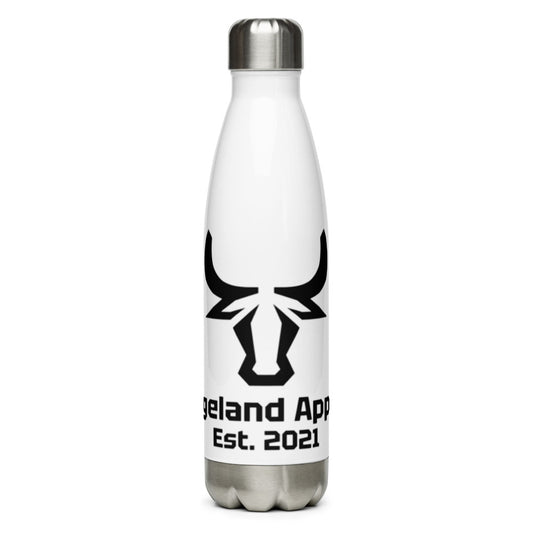 Stainless Steel Water Bottle